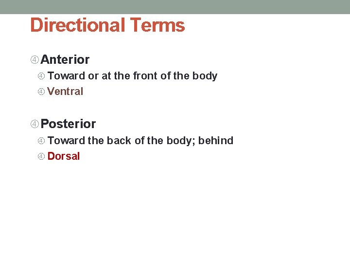 Directional Terms Anterior Toward or at the front of the body Ventral Posterior Toward