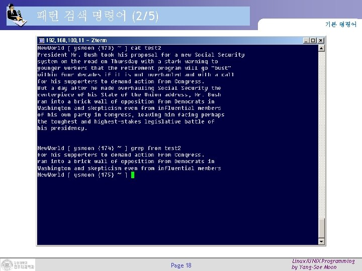 패턴 검색 명령어 (2/5) 기본 명령어 Page 18 Linux/UNIX Programming by Yang-Sae Moon 
