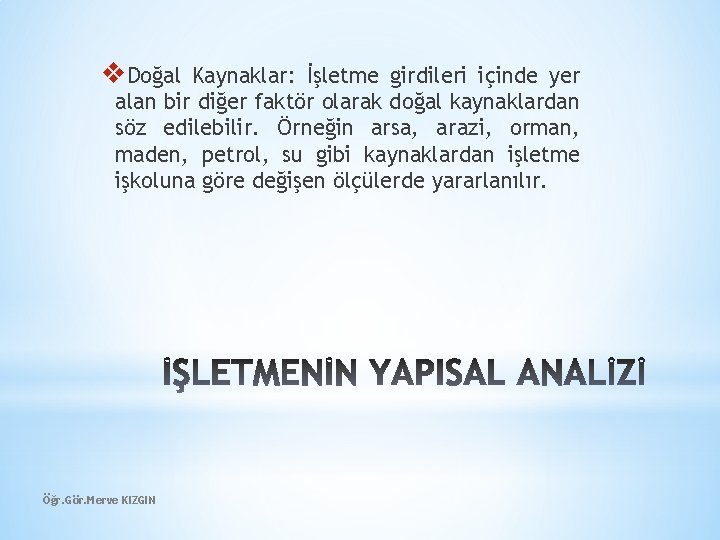 v. Doğal Kaynaklar: İşletme girdileri içinde yer alan bir diğer faktör olarak doğal kaynaklardan