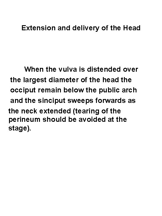 Extension and delivery of the Head When the vulva is distended over the largest