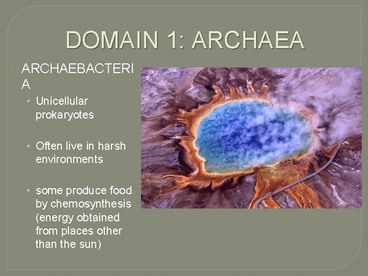 DOMAIN 1: ARCHAEA � ARCHAEBACTERI A • Unicellular prokaryotes • Often live in harsh