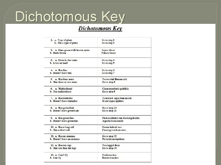Dichotomous Key 