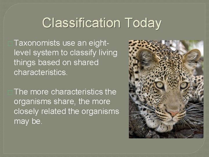 Classification Today � Taxonomists use an eightlevel system to classify living things based on