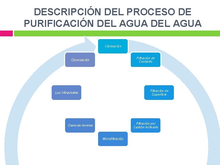 DESCRIPCIÓN DEL PROCESO DE PURIFICACIÓN DEL AGUA Clorinación Filtración de Contacto Ozonización Filtración de