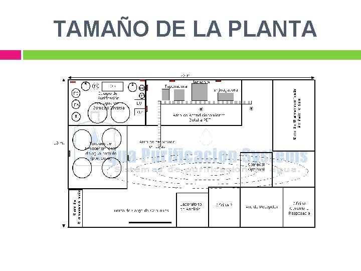 TAMAÑO DE LA PLANTA 