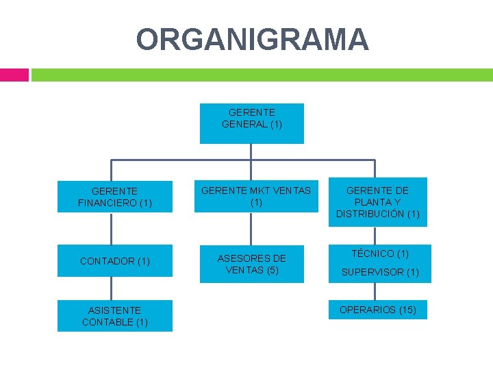 ORGANIGRAMA GERENTE GENERAL (1) GERENTE FINANCIERO (1) CONTADOR (1) ASISTENTE CONTABLE (1) GERENTE MKT