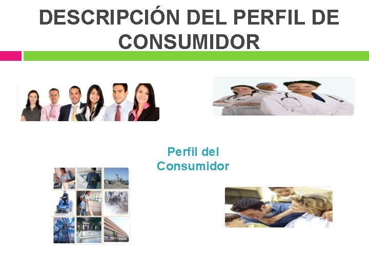 DESCRIPCIÓN DEL PERFIL DE CONSUMIDOR Perfil del Consumidor 