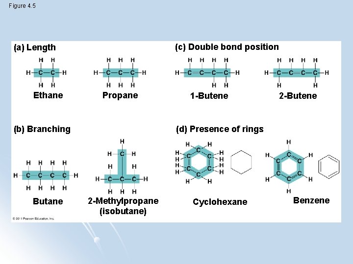 Figure 4. 5 (c) Double bond position (a) Length Ethane Propane (b) Branching Butane