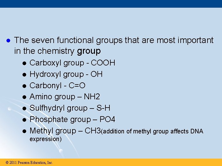 l The seven functional groups that are most important in the chemistry group l