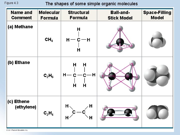 Figure 4. 3 Name and Comment The shapes of some simple organic molecules Molecular