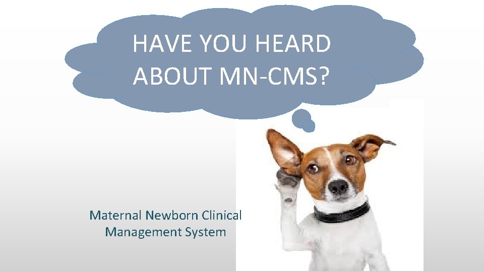 HAVE YOU HEARD ABOUT MN-CMS? Maternal Newborn Clinical Management System 