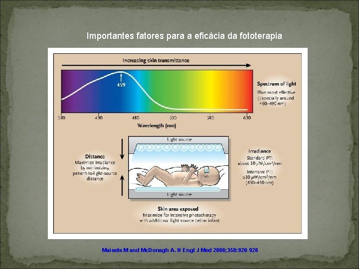 Importantes fatores para a eficácia da fototerapia Maisels M and Mc. Donagh A. N