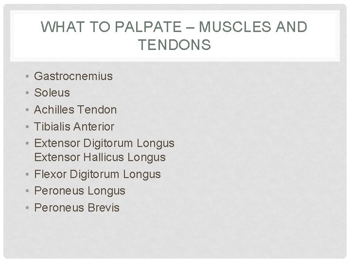 WHAT TO PALPATE – MUSCLES AND TENDONS • • • Gastrocnemius Soleus Achilles Tendon
