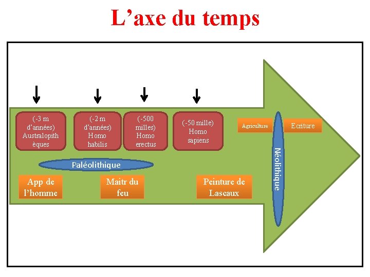 L’axe du temps (-2 m d’années) Homo habilis (-500 milles) Homo erectus (-50 mille)