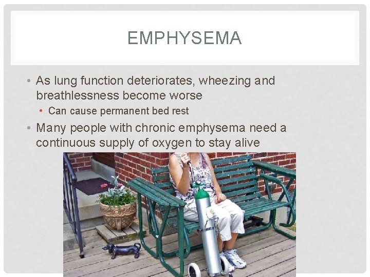 EMPHYSEMA • As lung function deteriorates, wheezing and breathlessness become worse • Can cause