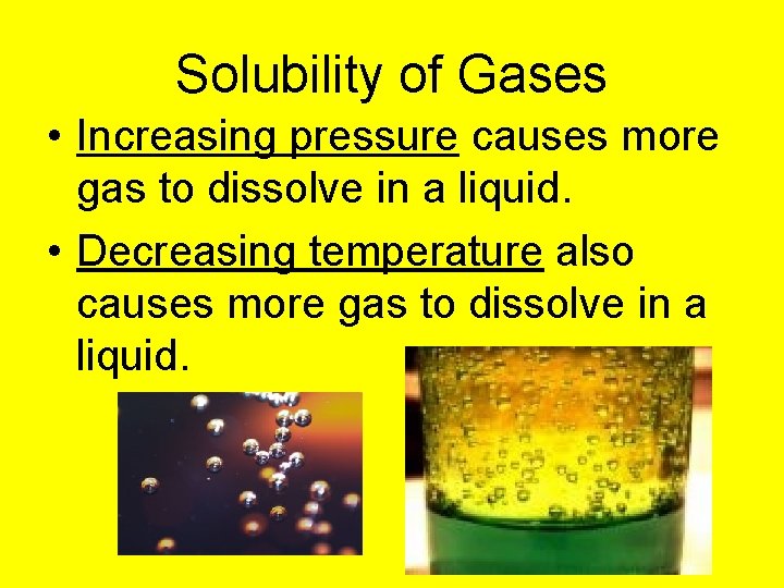 Solubility of Gases • Increasing pressure causes more gas to dissolve in a liquid.