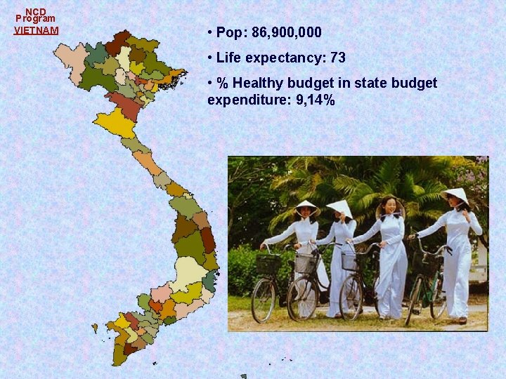 NCD Program VIETNAM • Pop: 86, 900, 000 • Life expectancy: 73 • % NCD Program VIETNAM • Pop: 86, 900, 000 • Life expectancy: 73 • %