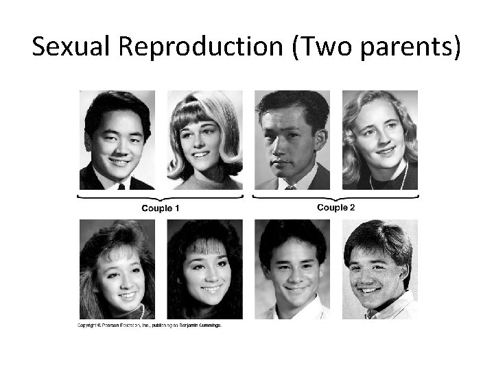 Sexual Reproduction (Two parents) 