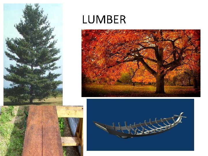 LUMBER 