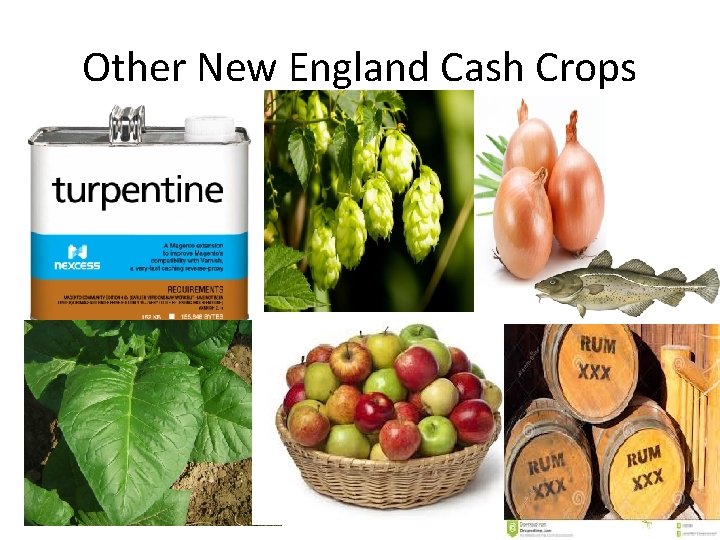 Other New England Cash Crops 