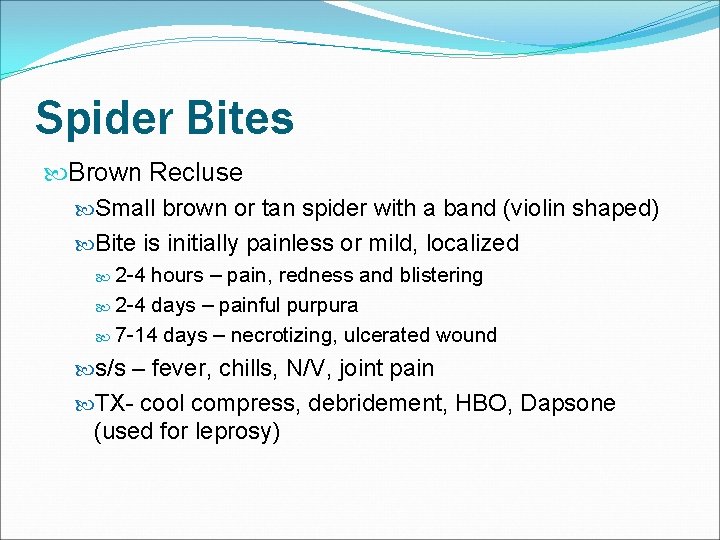 Spider Bites Brown Recluse Small brown or tan spider with a band (violin shaped)