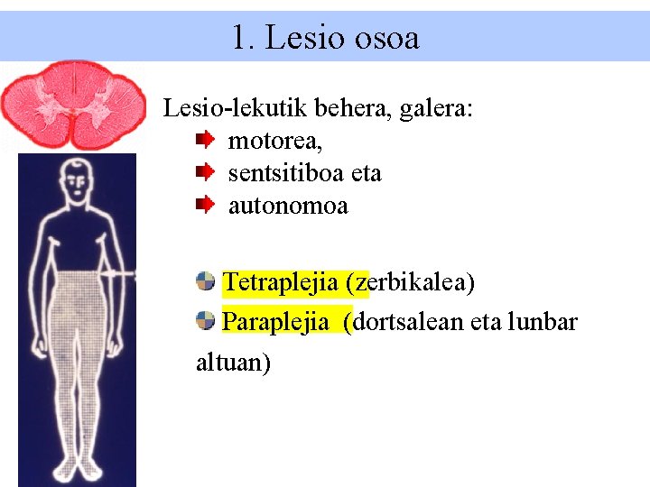 1. Lesio osoa Lesio-lekutik behera, galera: motorea, sentsitiboa eta autonomoa Tetraplejia (zerbikalea) Paraplejia (dortsalean