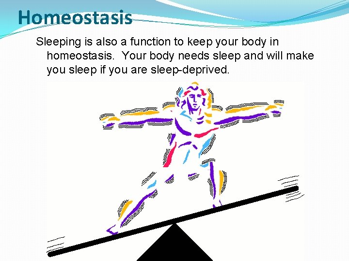 Homeostasis Sleeping is also a function to keep your body in homeostasis. Your body