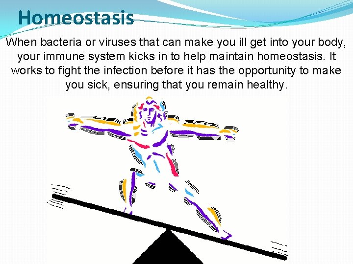 Homeostasis When bacteria or viruses that can make you ill get into your body,
