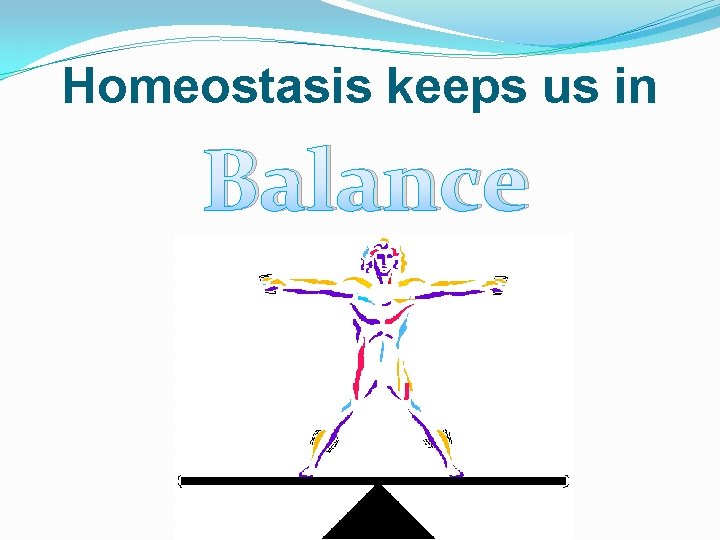 Homeostasis keeps us in Balance 