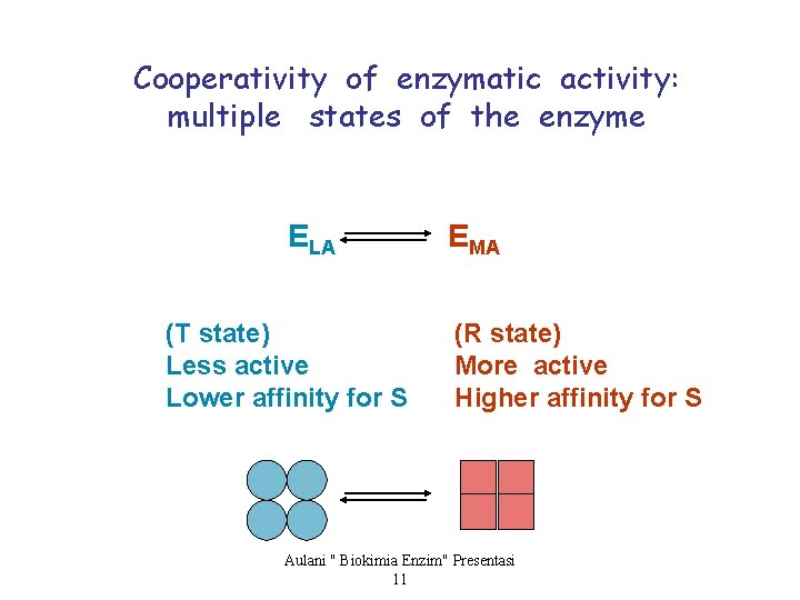 Cooperativity of enzymatic activity: multiple states of the enzyme ELA (T state) Less active