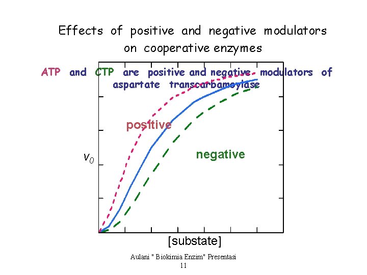 Effects of positive and negative modulators on cooperative enzymes ATP and CTP are positive