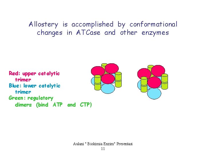 Allostery is accomplished by conformational changes in ATCase and other enzymes Red: upper catalytic