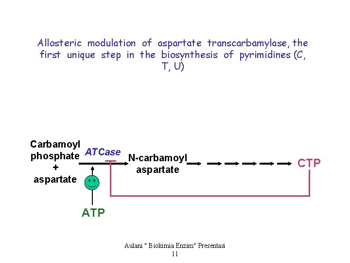 Allosteric modulation of aspartate transcarbamylase, the first unique step in the biosynthesis of pyrimidines