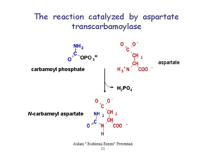 The reaction catalyzed by aspartate transcarbamoylase aspartate carbamoyl phosphate H 2 PO 4 -