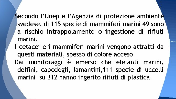 Secondo l’Unep e l’Agenzia di protezione ambiente svedese, di 115 specie di mammiferi marini