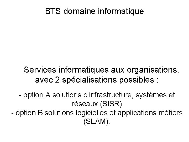 BTS domaine informatique Services informatiques aux organisations, avec 2 spécialisations possibles : - option