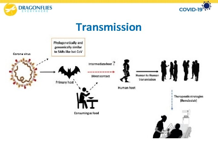 Transmission Corona virus 