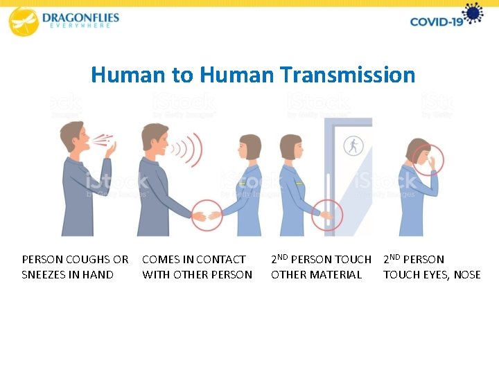Human to Human Transmission PERSON COUGHS OR SNEEZES IN HAND COMES IN CONTACT WITH