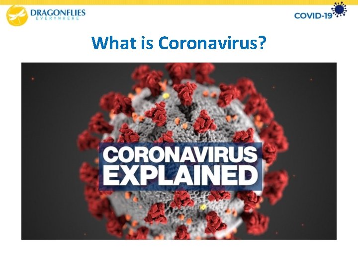 What is Coronavirus? 