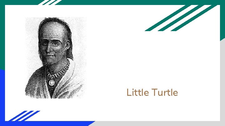 Little Turtle 