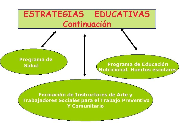 ESTRATEGIAS EDUCATIVAS Continuación Programa de Salud Programa de Educación Nutricional. Huertos escolares Formación de