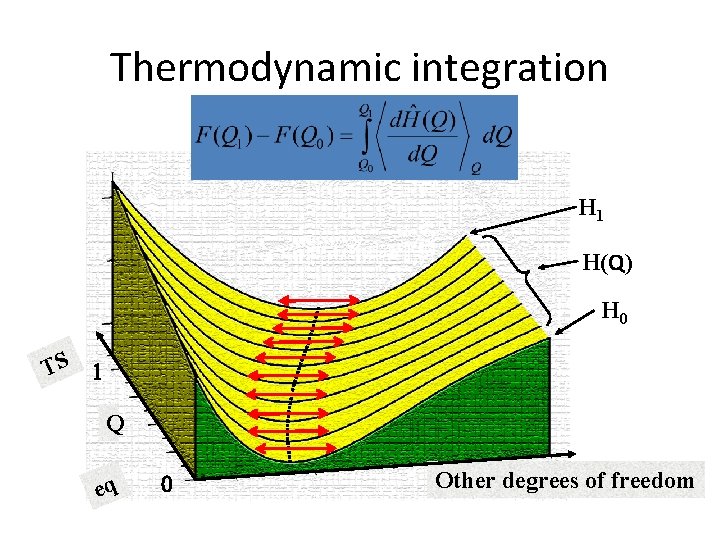 Thermodynamic integration H 1 H(Q) H 0 TS 1 Q eq 0 Other degrees