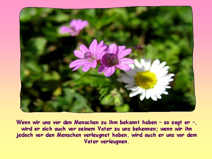 Wenn wir uns vor den Menschen zu ihm bekannt haben – so sagt er