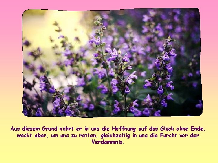 Aus diesem Grund nährt er in uns die Hoffnung auf das Glück ohne Ende,