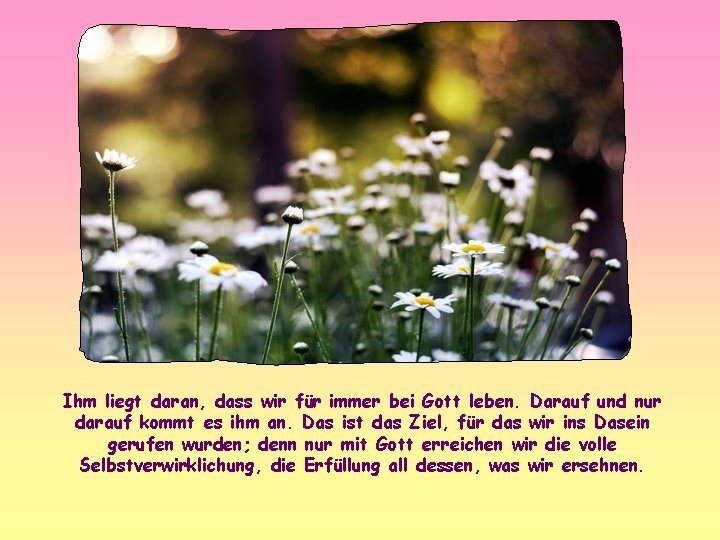 Ihm liegt daran, dass wir für immer bei Gott leben. Darauf und nur darauf