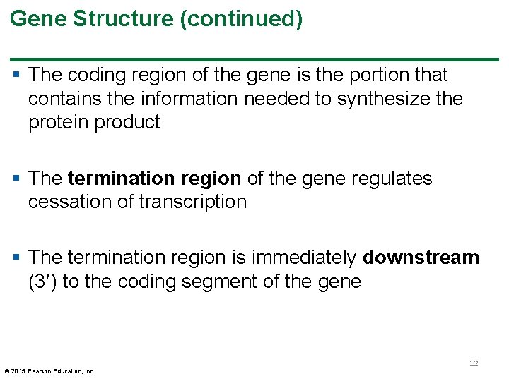 Gene Structure (continued) § The coding region of the gene is the portion that Gene Structure (continued) § The coding region of the gene is the portion that