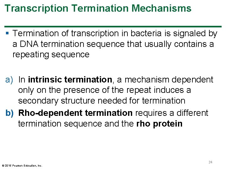 Transcription Termination Mechanisms § Termination of transcription in bacteria is signaled by a DNA Transcription Termination Mechanisms § Termination of transcription in bacteria is signaled by a DNA