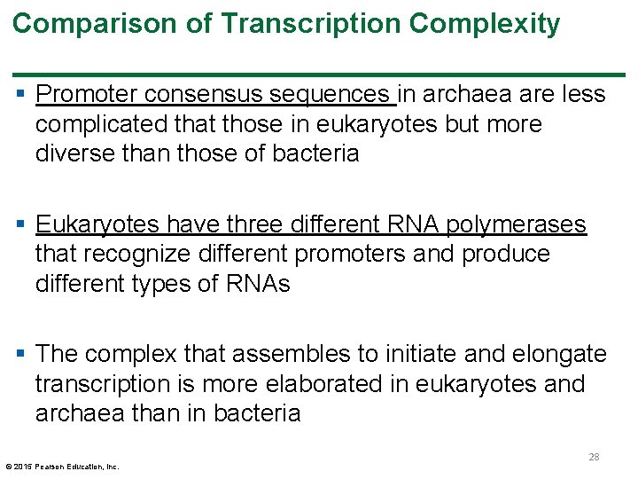 Comparison of Transcription Complexity § Promoter consensus sequences in archaea are less complicated that Comparison of Transcription Complexity § Promoter consensus sequences in archaea are less complicated that