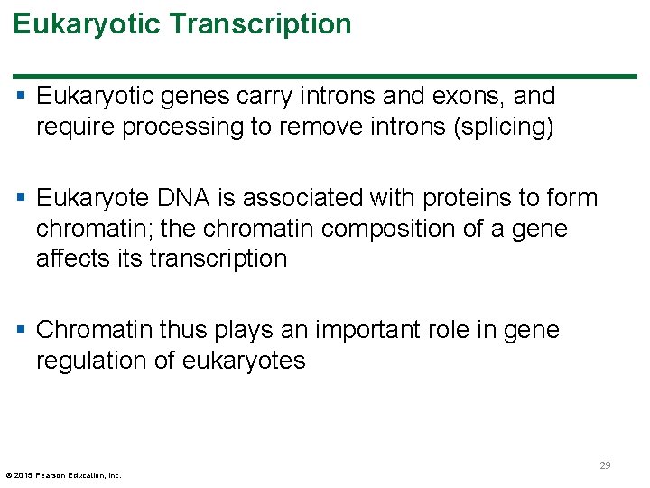 Eukaryotic Transcription § Eukaryotic genes carry introns and exons, and require processing to remove Eukaryotic Transcription § Eukaryotic genes carry introns and exons, and require processing to remove