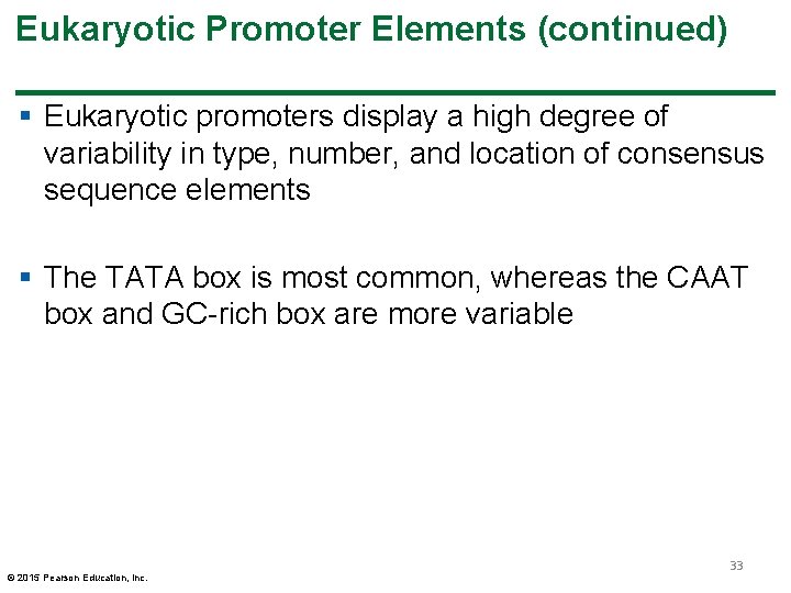 Eukaryotic Promoter Elements (continued) § Eukaryotic promoters display a high degree of variability in Eukaryotic Promoter Elements (continued) § Eukaryotic promoters display a high degree of variability in